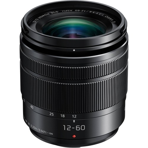 Panasonic lumix vario - g,